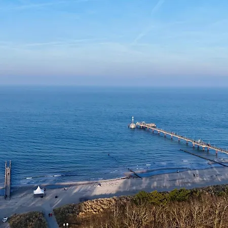 Strandläufer Zingst