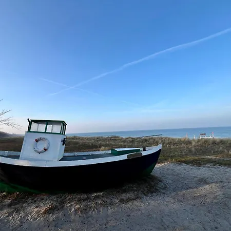 Strandlaeufer Цингст