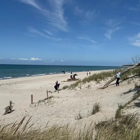 Strandläufer Zingst